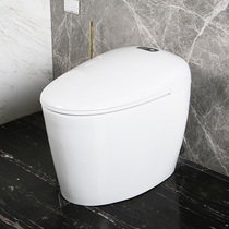 Faensa FB16163 Warm Cleaning Lian Smart Toilet