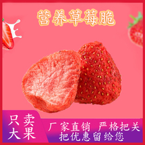 Frozen hay berry whole strawberry dried net red snack crushed powder for baking 500g childrens strawberry crispy snowflake crisp