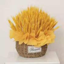  Natural golden ears of wheat dried flower bouquet opening barley living room pastoral decoration decoration gift box flower arrangement flower blue basket