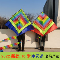 Children's cartoon large adult kite rainbow chasing 10 m tail 2022 new Weifang wholesale