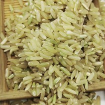 Guizhou fragrant brown rice 5 catties of rough rice rice nutritious farm germ Rice new rice shelled coarse rice omnivorous