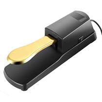 Electric Yanxin Pedal Electric Piano Accessible Piano Keyboard Synthesizer MIDI Metal Piano Pedal