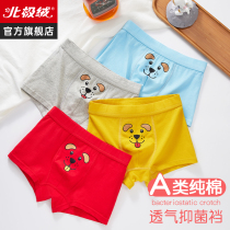 Boys underwear pure cotton childrens flat shorts in large children 100 % quadruple pants baby antibacteria without ppp
