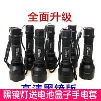 wood wood's lamp UV flashlight animal skin aflatoxin detection pen pet hospital cat dog moss