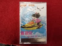 Brand new undismantled (original genuine tape) wave knowledge nursery rhymes suitable for 3-7 years old Shenzhen ocean audio and video