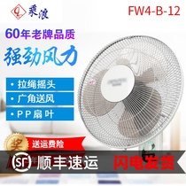 Wind Wall fan 400mm electric fan wall hanging fan Home Restaurant 16 inch moving head fan FW4-B-12