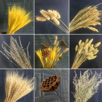 Natural wheat ears dried flowers real bouquets open barley pastoral ornaments full of stars rice ears shooting props gifts