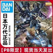 Spot Bando MG 1 100 up to MK-V MK5 assembly model Gundam Mark VPB Limited