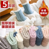 Coral fleece socks womens hair thickened in winter plus velvet to keep warm sleep moon cotton socks postpartum autumn and winter New Sleeping socks