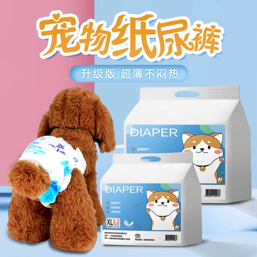 Bumei Pet Biological Diane Pants Teddy Barline Ureuward