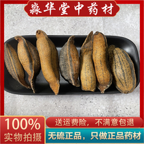 Roasted Leech Chinese herbal medicine cooked leech water to Grasshopper fried Leech hot Leech dry 250g g