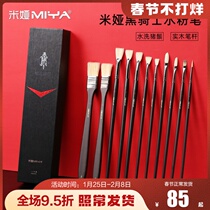 Mia Chalk Set Black Knight 11 Pack Art Special Fan Pen Acrylic Brush Easy to Use Home of Painting Materials