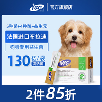 MAG pet probiotics dog Brady yeast probiotic conditioning gastrointestinal pups adult dog soft stool vomiting