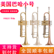 BACH Baja trumpet musical instrument imported from the United States 190S-37 Bb adjustment beginner grade examination professional performance wear-resistant