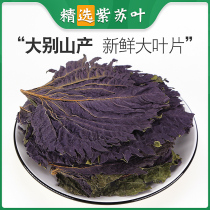 500g perilla leaf Dried perilla leaf Chinese medicine Foot soak Edible perilla leaf powder tea Su Ye Chinese herbal medicine Zi Su Ye