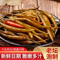 (Handmade Cured) Lower rice dishes Nice Mouth Little Chili Pickle millet Hot sauce Pickle Pickle Pickle old altar Fried Pepper