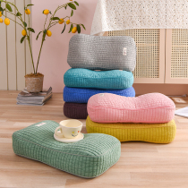 Beauty Bed Pillow Beauty Salon Special Buckwheat Leather Pillow Core Adult Square Pillow Single Little Pillow Office Afternoon Nap Pillow