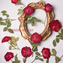 A rose red with a branch rose specimen dried flower glue brooch material 6 sticks