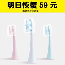 Adapt Ebonee electric toothbrush head X3X6P1P2C1E1 replacement of original brush head ()