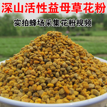 (A product of honey) motherwort pollen pure natural bee pollen fresh 250 grams buy 2 bottles