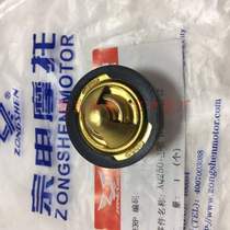 Zongshen Saikelong ZS250T-3 RT3 Dalin Q3XQ250 EFI thermostat combination thermostat water heater