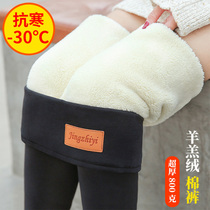 Northeast super thick lamb velvet cold-proof high waist wearing cotton pants female Harbin Xuexiang outdoor tourism warm pants