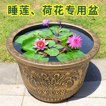 特大号荷花盆缸-特大号荷花盆缸促销价格、特大号荷花盆缸品牌- 淘宝