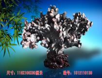 Lingbi Kishi Bai Lingbi Kizhi Crafts-Happiness Tree Lucky Tree Feng Shui Stone Ornamental Stone Landscape Stone Landscape Stone