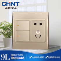 Chint Electric Electric 120 NEW9L Safety Steel Frame Wall Switch Socket Gold Two Open Five Hole Socket