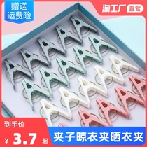 Clip clothes clip clip clip rack drying quilt big clip windproof fixed clothes plastic small clip clothproof clothes