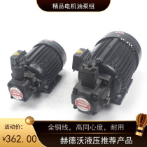 Hydraulic motor hydraulic accessories oil pump motor 0 75KW 1 5KW 2 2KW with VP20 VP15 VP30
