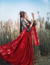 Hanfu Womans Qi Chest Jacket with Skirt Ancient Dress Lady Red Phoenix Chinese Style Chinese Style Chinese Style Handsuit Suit Suit