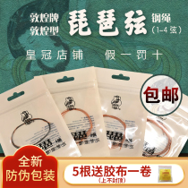 Shanghai national musical instrument factory Dunhuang brand Dunhuang type steel rope Pipa string 1234 set string