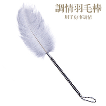 Interest Articles Couple Front Play Teasing Flirting Feather Adult Passion Seduction Series Sex Tool Sm Alternative Toys