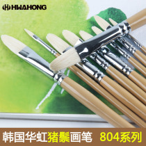 Hua Hong Chalk Oil Painting Brush Bristle Duck Tongue Pointed Oval Head Propylene Brush Single Set Single 804 Special Professional Art Students Training Korean Hhwahong