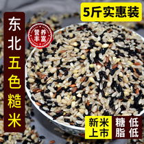 Five-color brown rice new rice 5 kg of whole grains red rice black rice brown rice whole grains fitness fat reduction whole grains brown rice