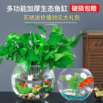 Small fish tank small desktop home living room creative mini glass goldfish tank round hydroponic thickened fish tank Garden
