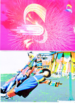 A collection of a few ethnic postcards (2) collections