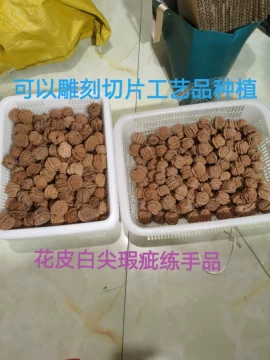 精品收藏级文玩核桃-精品收藏级文玩核桃促销价格、精品收藏级文玩核桃