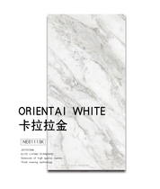 Yueyang Avenue store 1st floor Nobel porcelain marble tiles Simple modern (Carrara Gold) NE61119K