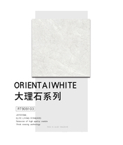 Nobel ceramic tile RT909103 Glazed tile 900*900 gray ceramic tile New Chinese style modern simplicity