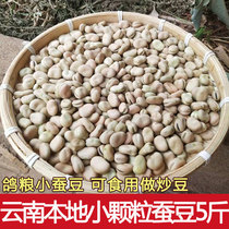 The 21-year-old new Yunnan farm bean dried pigeon food raw beans 5kg pigeon feed