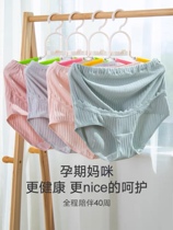 3 pieces of anti-radiation pregnant womens underwear breathable cotton high waist belly adjustable bottoms super elastic breathable pants