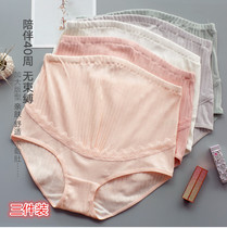 Radiation-proof pregnant womens underwear thin cotton early pregnancy early middle and late pregnancy special underwear high waist