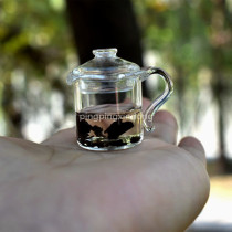 Custom simple doll house handmade glass teacup miniature version of the scene decoration high temperature mini tea set