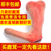 2021 New Cut Jilin plum blossom velvet pruning fresh deer fluffy flakes fresh blood velvet deer whip soaking wine