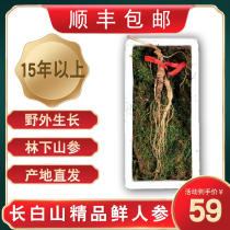 Fresh forest ginseng Wild Mountain Ginseng Northeast Changbai Mountain fresh ginseng ginseng gift box bubble wine Old mountain ginseng 15-20 years