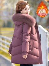 Middle Aged Mother Winter Coat Plus Suede Thickening Middle Ageds Down Cotton Clothing Woman Short of Autumn Winter Cotton Padded Jacket