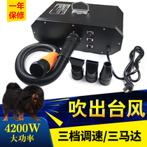 Three-motor pet water blower 4200w big wind large dog Tibetan mastiff mute dog hair blower Pet shop professional