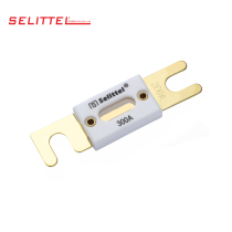 Ceramic large fork Bolt fuse 20A 30A 35A 40A 50A 60A 70A 80A 500A 80V